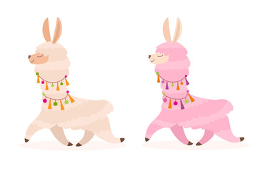 Stylized cute llama isolated on white background. Vector illustration.