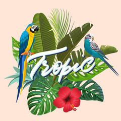 Bright summer illustration with tropical plants and parrots. Vector illustration.