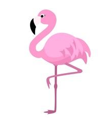 Stylized flamingo isolated on white background. Vector illustration.