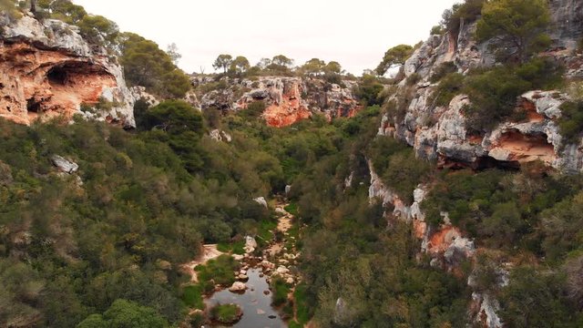 Aerial of wild untouched natural river red gorge canyon covered in trees