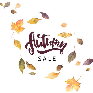 Watercolor vector card with hand lettering autumn sale and leaves isolated on white background.