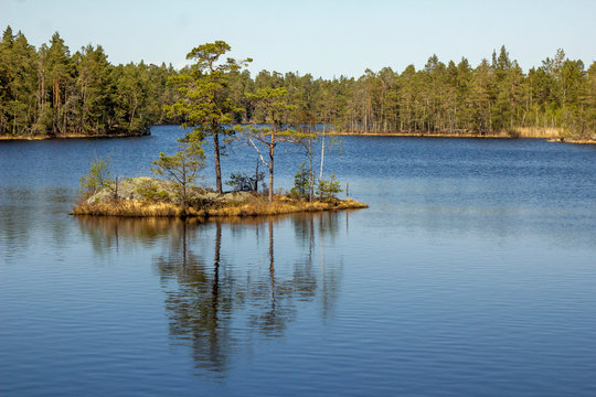 Island in the Tyresta National Park in the South of Stockholm