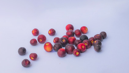 close up of fresh  grewia asiatica or phalsa fruit
