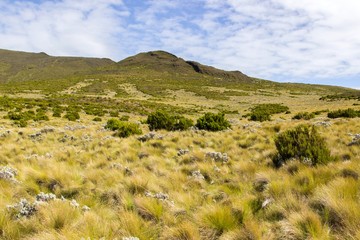 Fototapeta na wymiar Kilimanjaro national park landscape