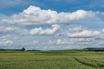 Agrarlandschaft und Wolkenhimmel