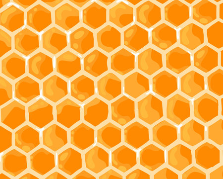 Cute honey sweet background. Honeycomb banner. Vector cartoon flat illustration. 
