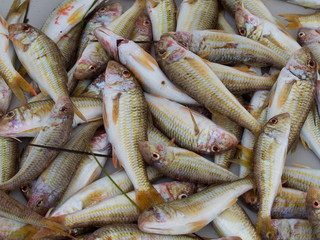 A group of small fish arranged on a tray for sale at market
