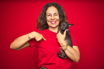 Middle age senior woman holding cute chihuahua dog over red isolated background with surprise face pointing finger to himself