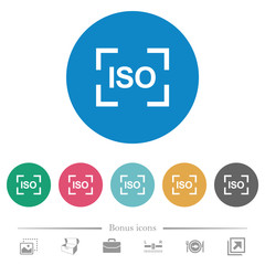 Camera iso speed setting flat round icons