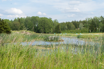 landscape with lke in swedish forest