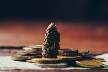 cannabis bud lies among euro coins close-up. purchase and sale of legalized soft drugs. cheap medical cannabis business concept