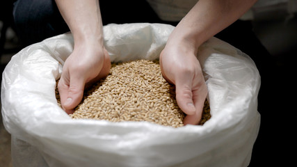 Adult Person's Hand Pouring Grains from A Plastic Bag