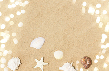 vacation and summer holidays concept - seashells on beach sand