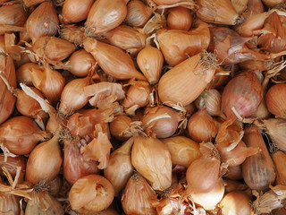 Several onions shallots in a crate at a farmer's market