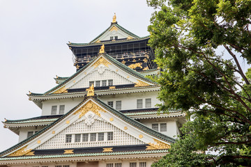 Fototapeta premium Osaka Castle is the famous destination in Osaka, Japan