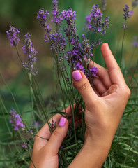 close-up of delicate hands of a girl with multi-colored manicure and blooming lavender. complementary colors