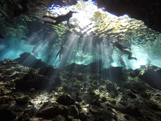 Obraz premium Cenote scuba diving, underwater cave in Mexico