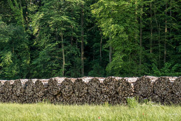 Brennholzlager © focus finder
