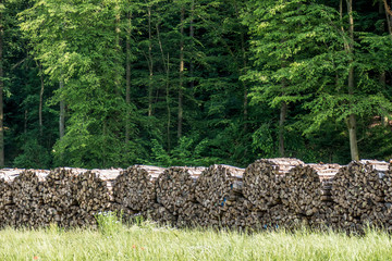 Brennholzlager © focus finder