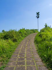 Trail artists. Bali island.