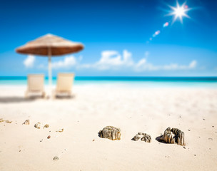 Summer background of beach with yellow sand and umbrella 