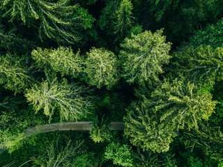 Aerial top view of country road in green summer forest. Rural landscape in Finland.