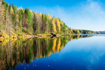 Autumn forest. Colorful autumn morning