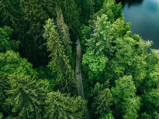 Aerial top view of country road in green summer forest and blue lake. Rural landscape in Finland.