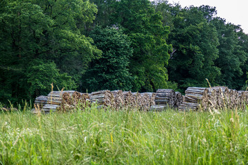 Brennholzlager © focus finder