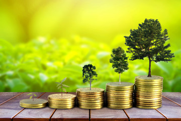 Gold coins pile stack and growing money and grow trees that grow up on nature background, Saving money and ecology concept.