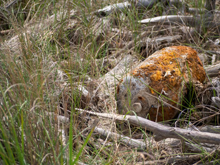 Rusting cylinder on beach. Ecology issue, problem. Environmental pollution.