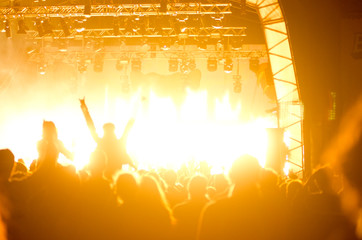 Music fans rock out at a concert