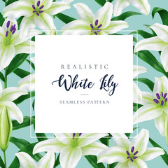 Lily flower background