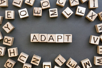 the word adapt wooden cubes with burnt letters, adaptation in the new team, gray background top...