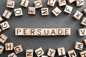 the word persuade wooden cubes with burnt letters, to persuade person in a dispute, gray background top view, scattered cubes around random letters