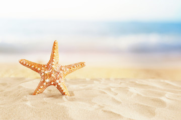 Fototapeta na wymiar holidays. sand beach and starfish in front of summer sea background with copy space