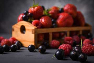 Different berries: strawberries, cherries, raspberries, currant in a wooden basket on a gray background