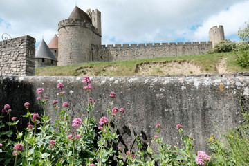 The medieval castle of Carcassonne in the south of France in the summer