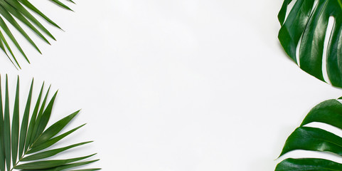 Frame of tropical palm leaves and monstera leaf on light gray background. Flat lay, top view, copy...
