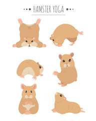 Obraz premium Hamsters yoga poses and exercises. Cute cartoon clipart set.