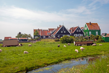 Fototapeta na wymiar Traditional dutch houses in the countryside from the Netherlands in spring
