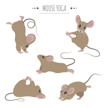 Mouse yoga poses and exercises. Cute cartoon clipart set