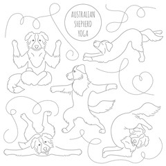 Yoga dogs poses and exercises. Australian shepherd clipart