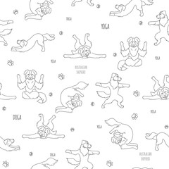 Fototapeta premium Yoga dogs poses and exercises. Australian shepherd seamless pattern
