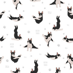 Yoga dogs poses and exercises. French bulldog  seamless pattern