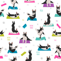 Yoga dogs poses and exercises. French bulldog  seamless pattern