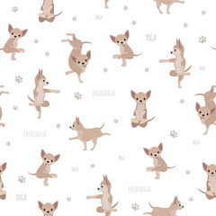 Yoga dogs poses and exercises. Chihuahua seamless pattern