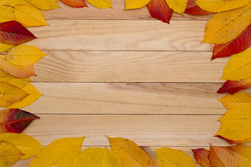 yellow autumn leaves on a wooden background, blank background.