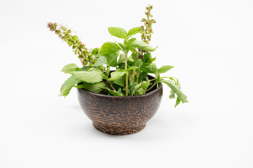 isolated green leaves sweet basil in wooden bowl, healthy and nature concept