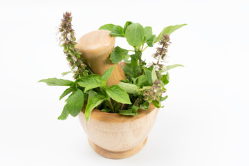 isolated green leaves sweet basil in wooden mortar and pestle on white background, selective focus